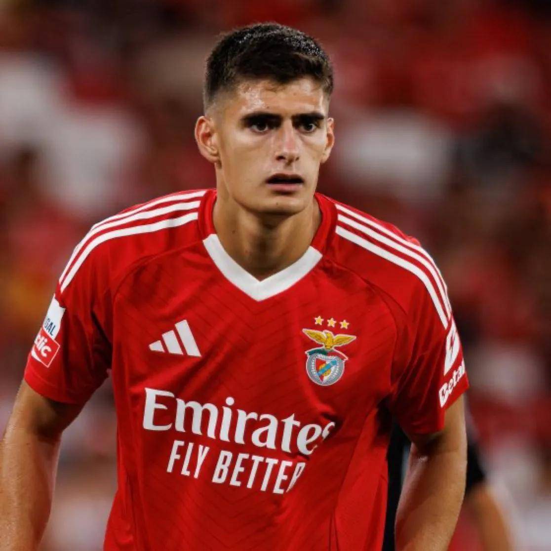 AC米兰迎葡超关键赛，国际比赛日战术微调，球迷炸锅，纪律约束更严格的简单介绍